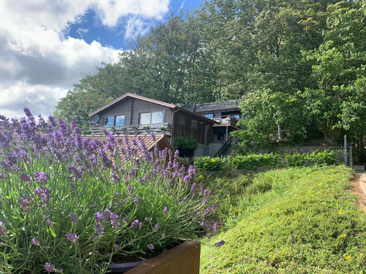 Chalet de la Sablière Amougies Esterno foto